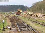 Železniční stanice Kácov se mnoho let využívá k nakládce dřeva z místních lesů. Tak tomu bylo například i 1. května 2005, kdy vznikl tento snímek, přičemž nákladní doprava od té doby měla spíše klesající tendenci. To se však změnilo například začátkem léta roku 2008, kdy naší zemi zasáhla silná vichřice, která zničila řadu lesů v okolí Kácova. Po dobu léta roku 2008 tak bylo možné potkávat v Kácově, ale i Českém Šternberku a Zruči nad Sázavou, velké množství nákladních vozů na dřevo. Nákladní vlaky z nich sestavené pak byly občas tak těžké, že musely být vedeny dvojicí motorových lokomotiv řady 742.
