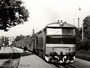 Dne 22. září 1985 zachytil objektiv fotoaparátu lokomotivu T 478.1009 se soupravou sedmi pater a postrkovým strojem při zastavení v železniční stanici Praha-Braník.  Snímek z přelomu 80. a 90. a zachycuje nedělní vlak z Vršovic do Čerčan. V Jílovém se zadní část vlaku odpojila a večer jela zpět do Prahy. Zbytek vlaku pokračoval až do Čerčan.